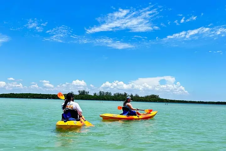 Exclusive Kayak Expedition: Exploring the Mangroves to Shell Key