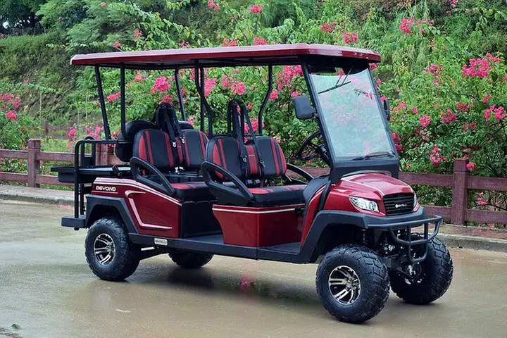 Multi Day 6 Passenger LSV Golf Cart Rental - Primary Image