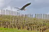 Small Group: Willamette Valley Wine Tour From Portland (Tasting Fees Included)