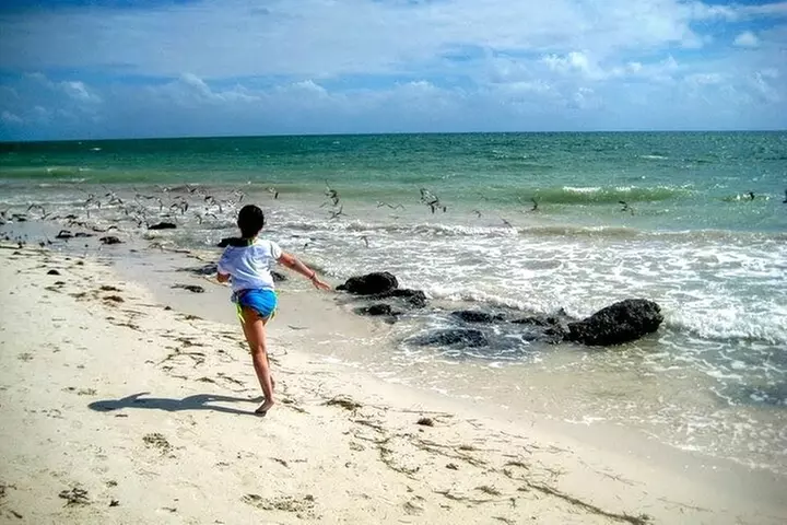 10,000 Islands Boat Tour + Naturalist Led Walk in the Everglades!