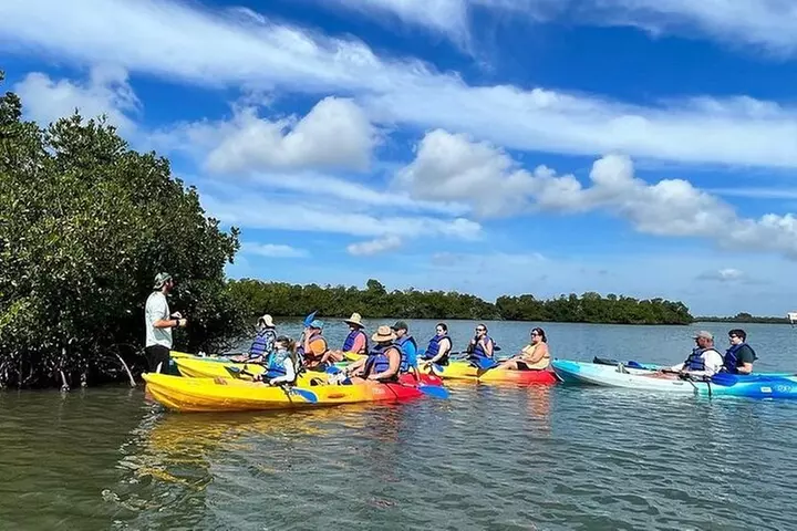Rookery Bay Kayak Adventure – Mangroves, Wildlife & Photos