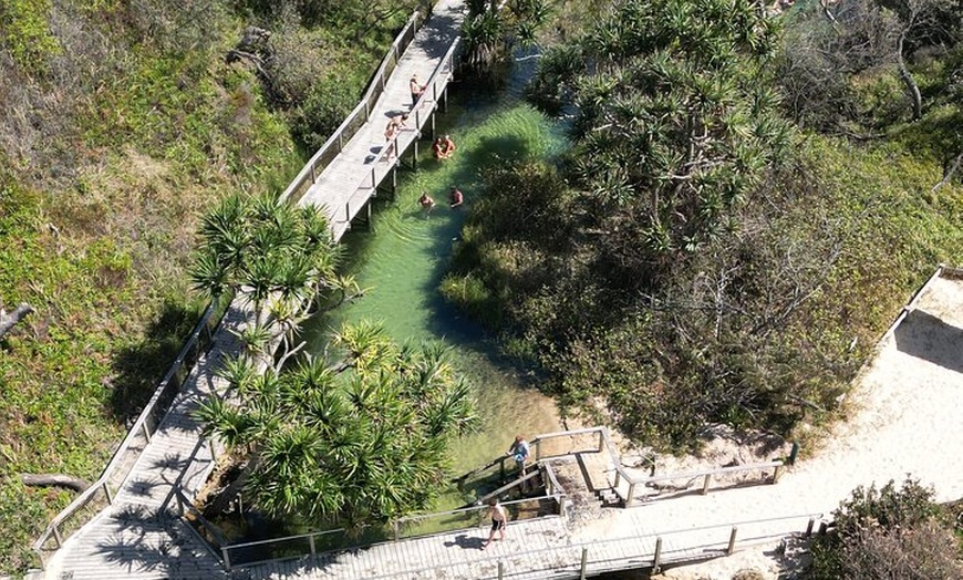 Image 18: Dingos 2 Day K'Gari (Fraser Island) 4WD Tag-Along Tour