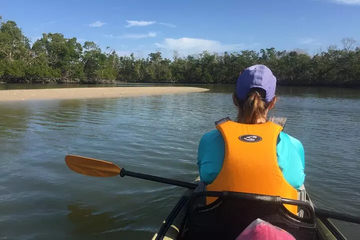 Marco Island Mangrove Tunnel and Maze Adventure Small group size