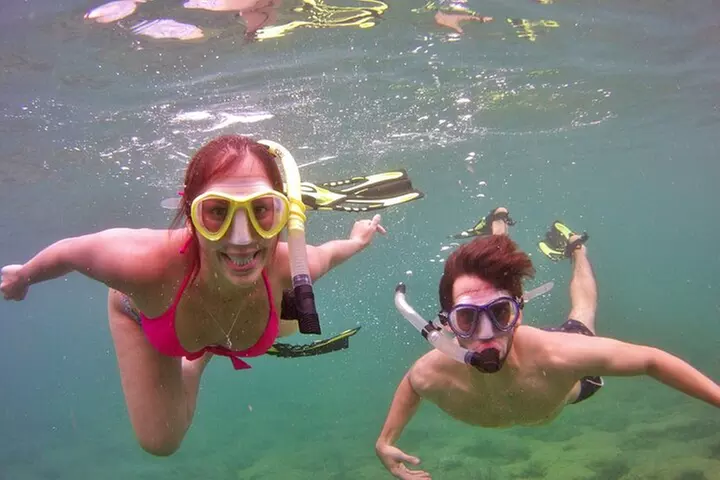 Guided Snorkel Experience in Fort Lauderdale