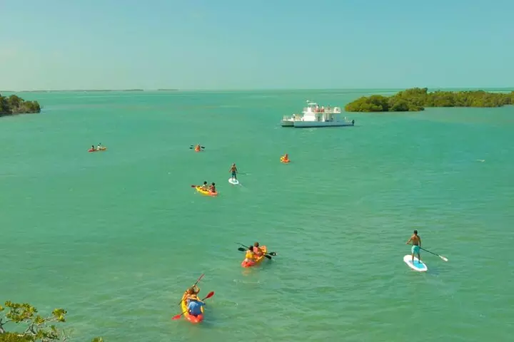Key West Sandbar Charter With Kayak Tour: Includes Lunch & Drinks