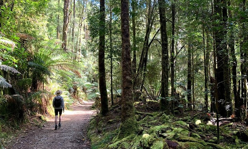 Image 8: 5-Day Best of Tasmania Tour from Hobart