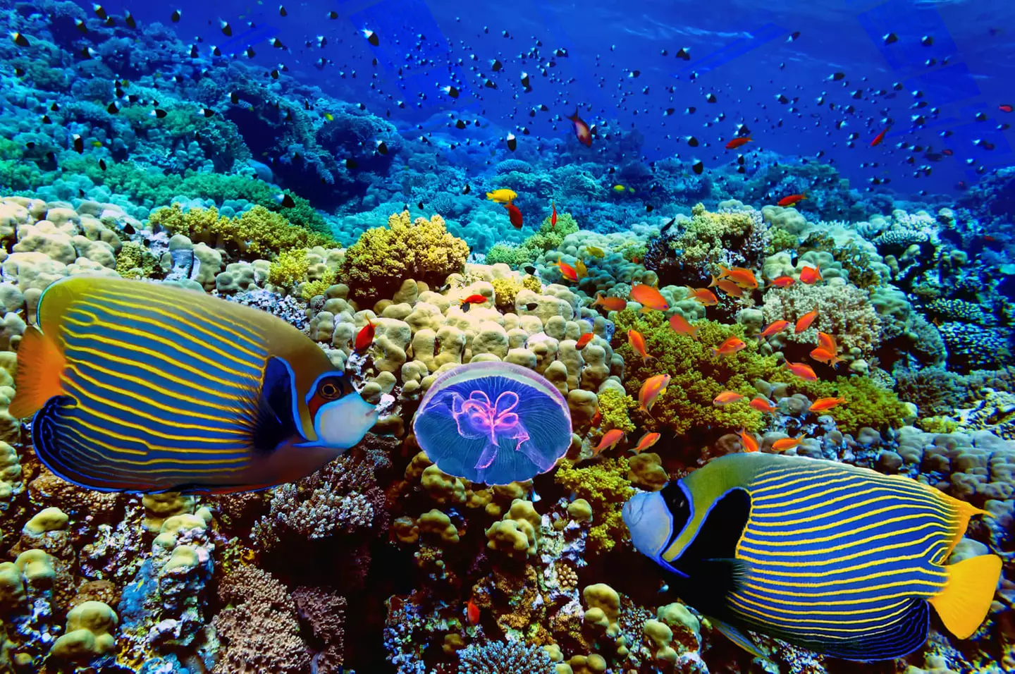 ✈ ÄGYPTEN | Kairo - Ägypten in 2 Etappen - Besichtigungen inklusive...