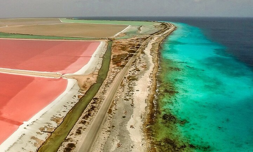 Image 26: Luc's Bonaire Open Bus Tour