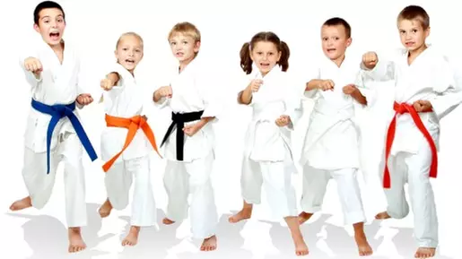 $125 For A 1.5-Hour Martial Arts Birthday Party Package (Reg. $250)