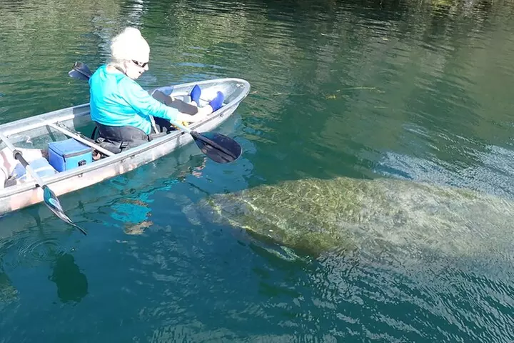 Clear Kayak Manatee Ecotour of Crystal River