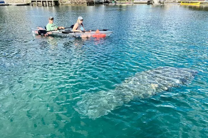 Crystal River Three Sisters Springs and Manatee Clear Kayak Tours