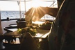 Day's End Cocktail Sunset Sail - Second Medium