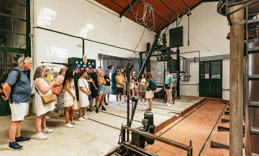 Image 20: Visita guiada a pueblos blancos y Ronda desde Sevilla