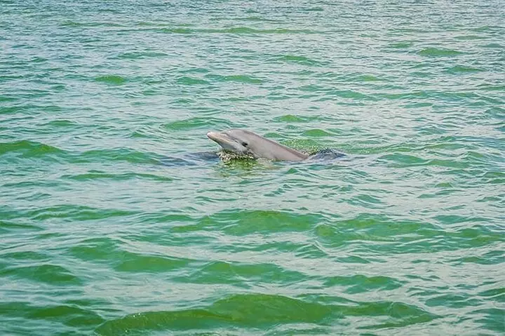 Kayak Tour Adventure Marco Island and Naples Florida