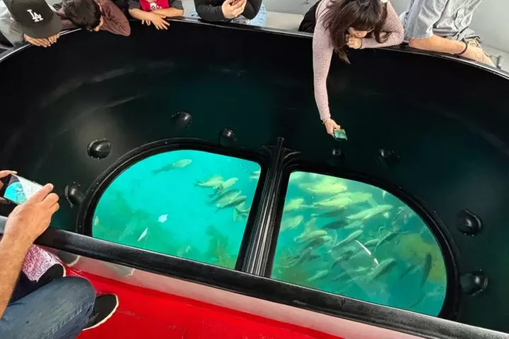 Sea View Glass Bottom Boat Excursion