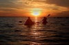 Sunset Bioluminescence Tour