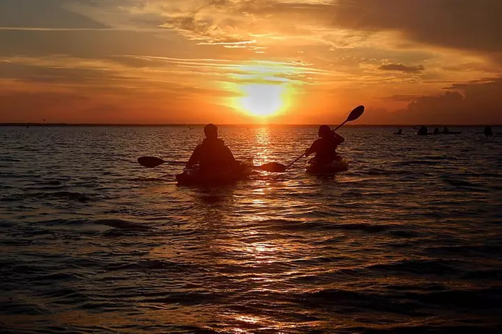 Sunset Bioluminescence Tour - Primary Image