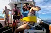 Private Biologist-Led Sea'fari (up to 10 passengers)