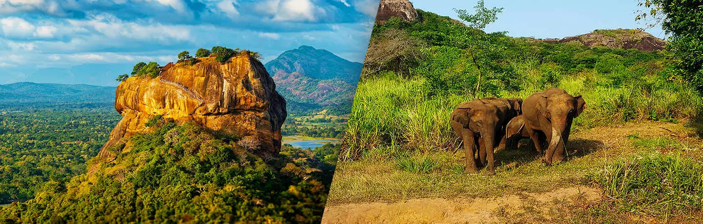 ✈ SRI LANKA | Colombo - Kultur und Entspannung in Sri Lanka 4*, 8 N...