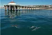 Hike and Bike through Orange County - Second Medium