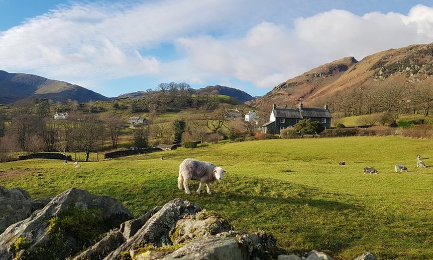 Image 4: Lake District from Manchester Including Lake Cruise & Cream Tea