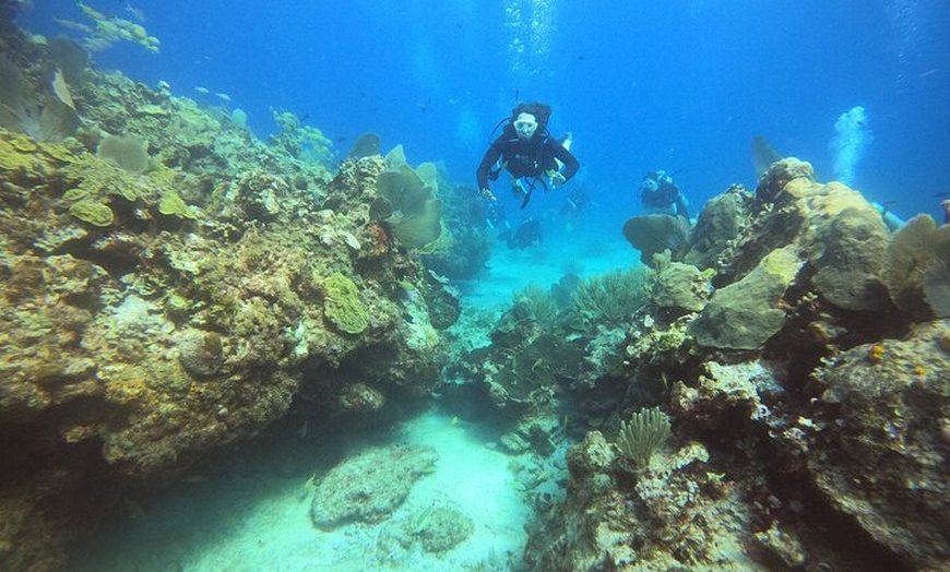 Image 13: VIP Beginner Diving Experience: MUSA Statues & Reef Adventure