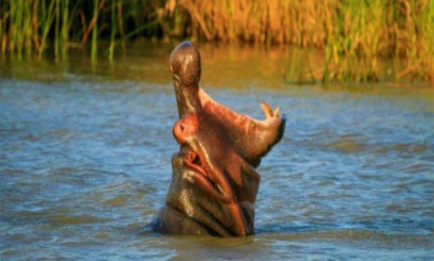 Image 14: ✈ AFRIQUE DU SUD | De Cap Town à Johannesburg - Acacia Afrique du S...