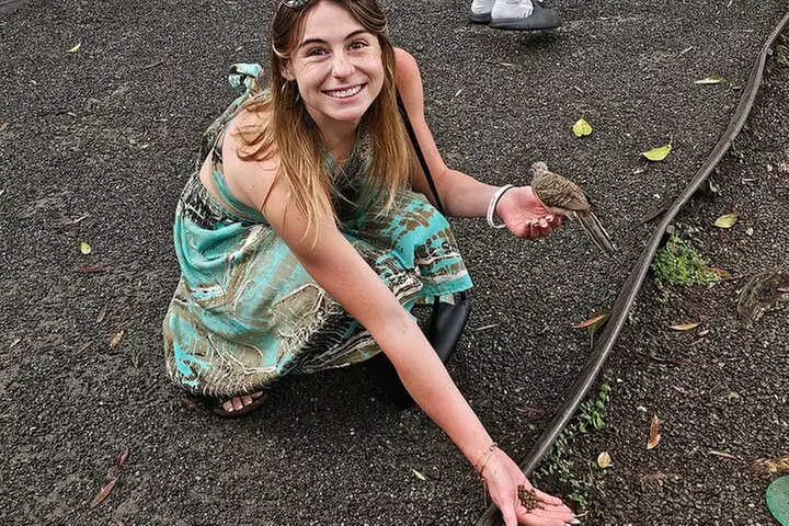 Byodo In Temple, Waimea Botanical Garden-Waterfall: Includes Fees