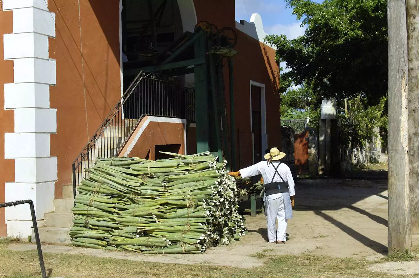 ✈ MESSICO | Yucatan - Lo Yucatán in hacienda 4*, 9 notti - Viaggio ...