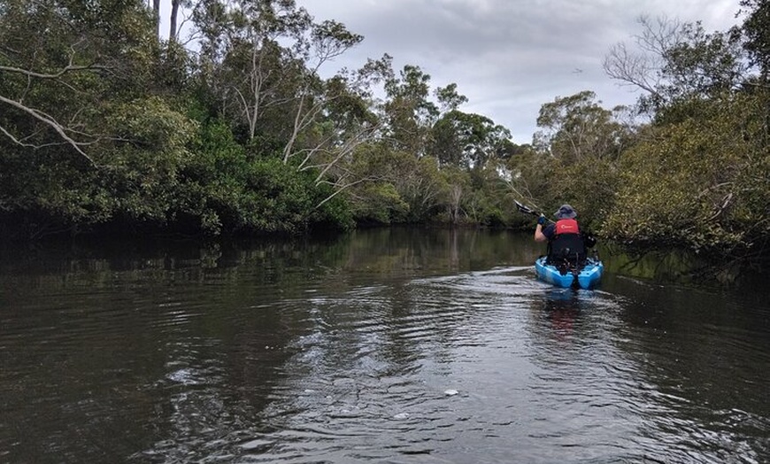 Image 3: Guided Kayak Adventure Tour