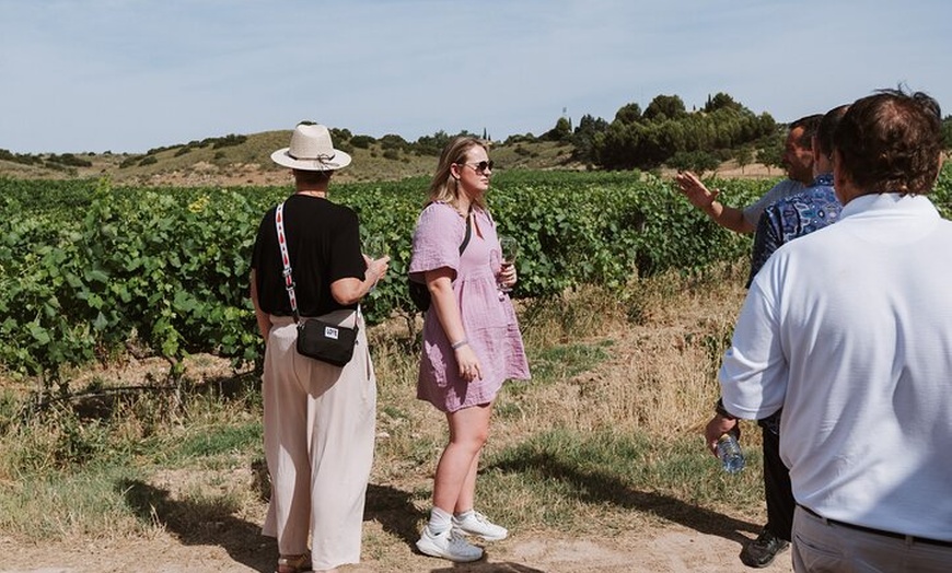 Image 21: Visita Guiada a Bodegas Rurales de Madrid con Cata de Vinos