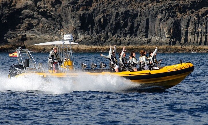 Image 9: Avistamiento de Delfines y Baño en Playa de Papagayo Lanzarote