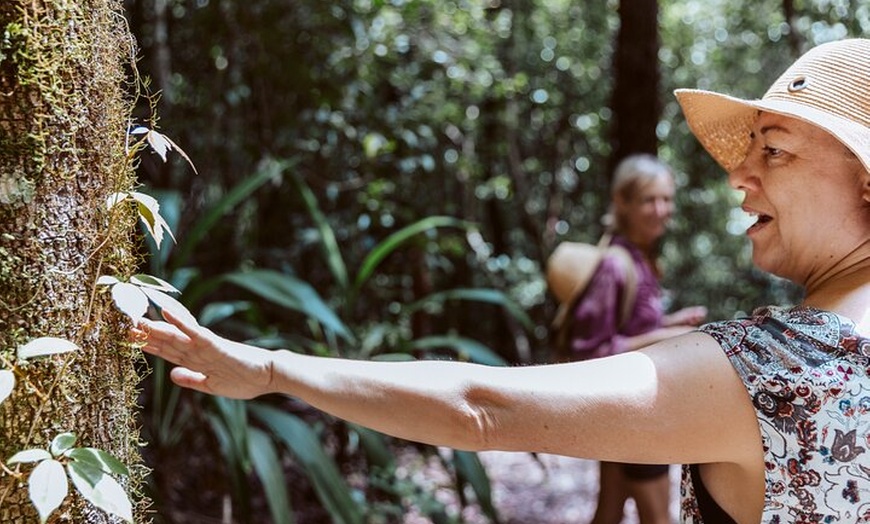 Image 10: Nature Immersive Fully Catered Glamping Retreat