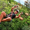 Image 5: ATV Ziplines Aquazip and Bungee Adventure at Cenote