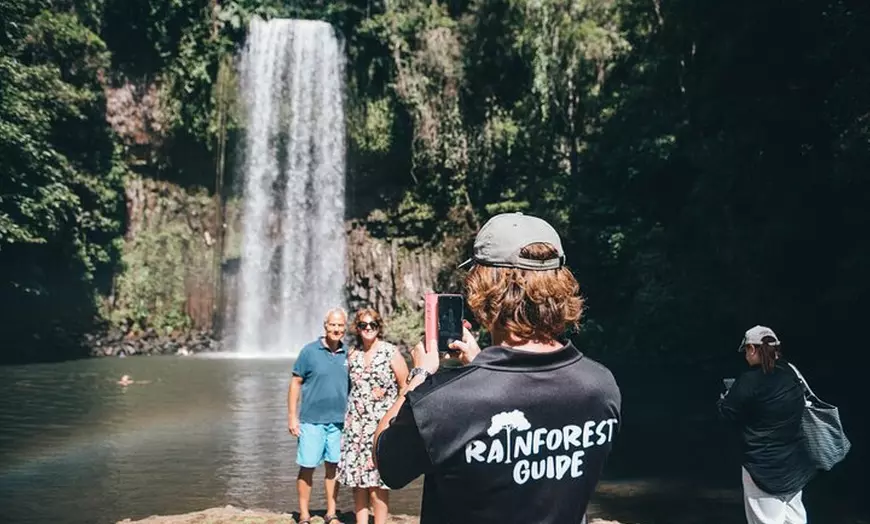 Image 10: Waterfalls and Rainforest Tour from Cairns