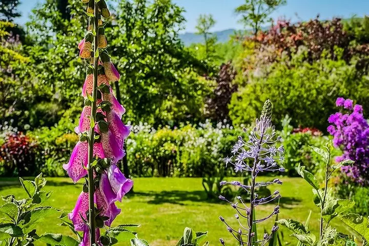 Demi-journée guidée à Giverny Monet depuis Paris