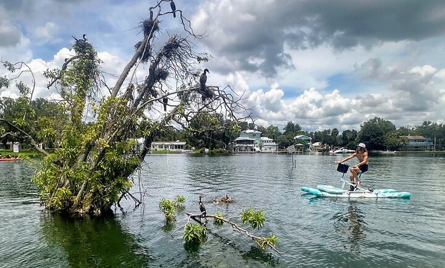 Image 3: Water Bike Rental in Crystal River