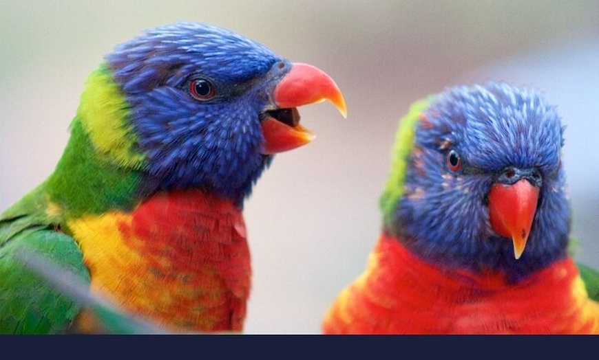 Image 3: Private Transfers From Brisbane to Gold Coast