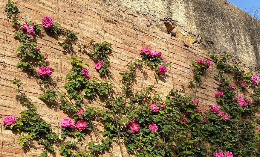 Image 19: Entradas de La Alhambra con Palacios Nazaríes +Tren Turístico
