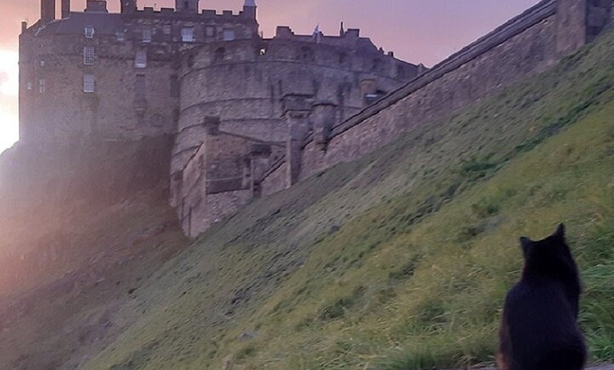 Image 3: Tales of the Royal Mile - Lawnmarket and Castle Hill