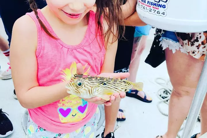 Eco Tour and Dolphin Watch