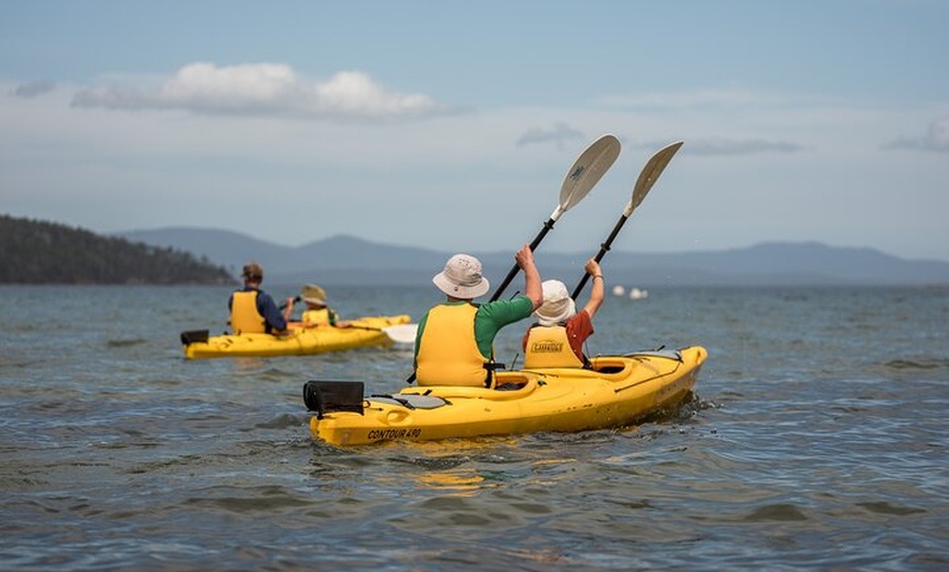 Image 2: Huon Valley Kayaking and Tahune Adventures