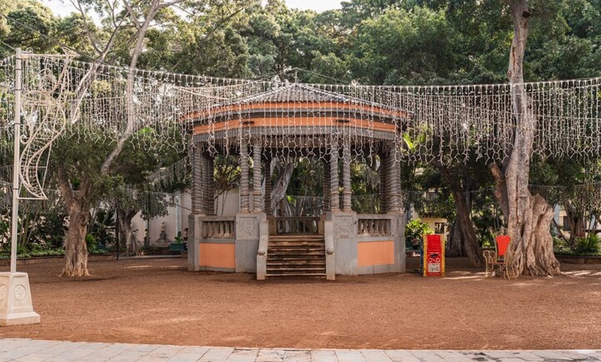Image 11: Tour Gourmet de Tapas y Vinos en Santa Cruz de Tenerife