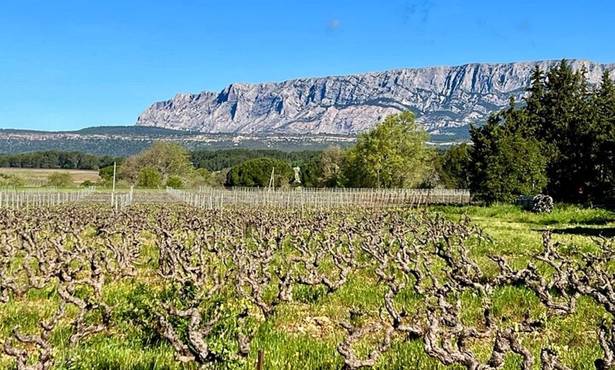 Image 6: Demi-journée Vignobles & Dégustation de vin d'Aix en Provence