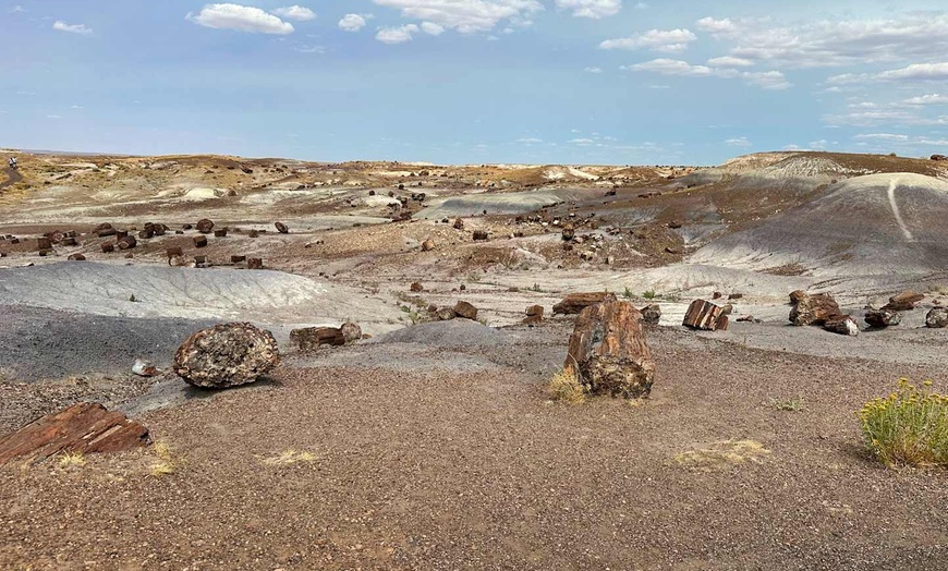 Image 6: ✈ ARIZONA | Phoenix - A la Découverte de l'Arizona 3*, 11 nuit - Lo...