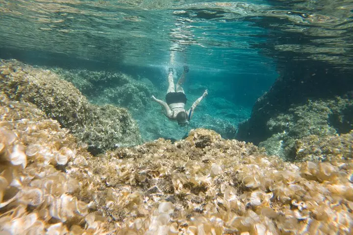 Secret Tide Pool Hike - Jungle & Coast - Private