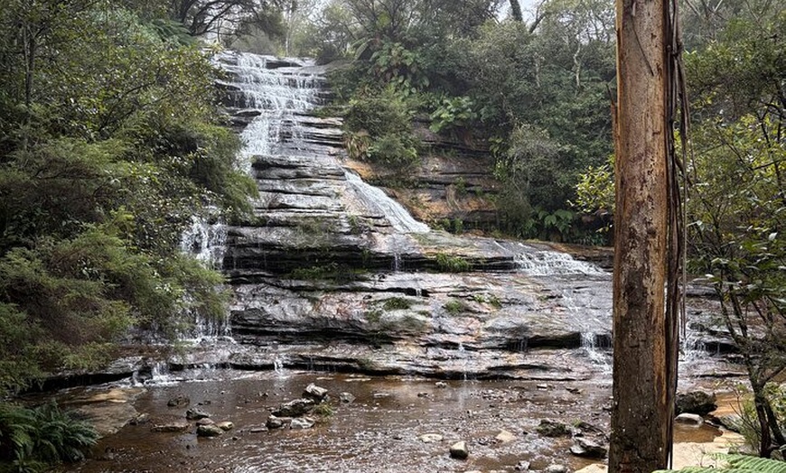 Image 4: Blue Mountains Day Tours W Scenic World and Lunch