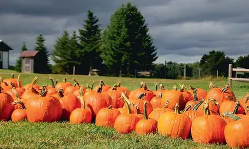 $39 For 2 Season Farm Passes (Reg. $78) (2025 Season Valid From Sep...