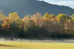 Kuwohi Mountain Great Smoky Mountains Tour - Second Medium