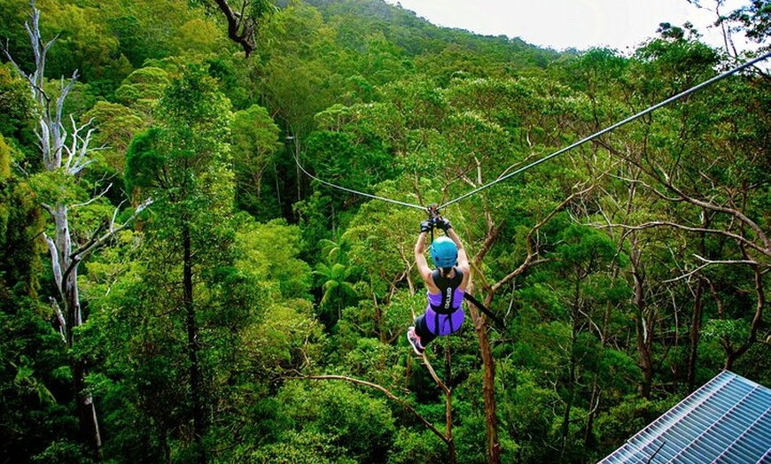 Image 10: Treetop Challenge Adrenaline Pass